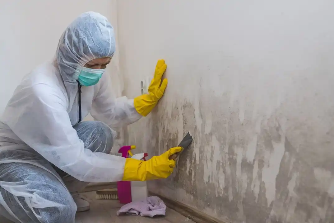 water damage restoration service West